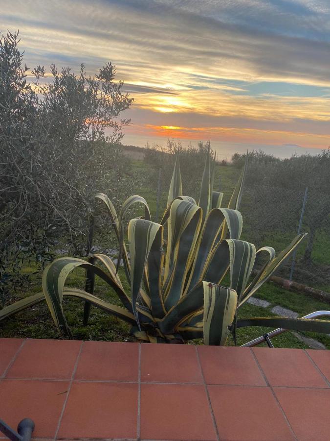 شقة Sunset House كاسْتيلونْشيلّو المظهر الخارجي الصورة